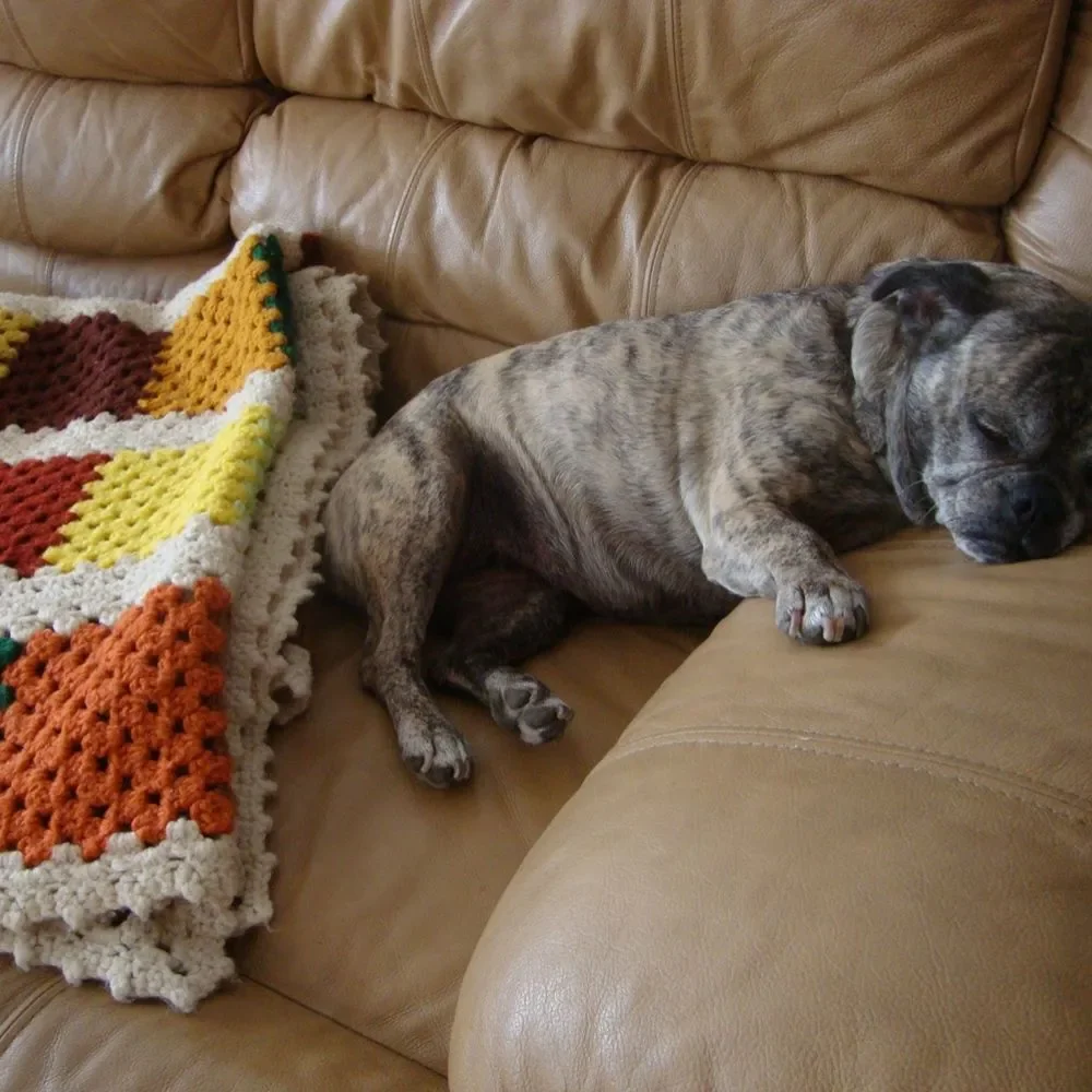 Vintage AFGHAN 60s 70s Crochet Throw Handmade Mid-Century Granny 76x55 GROOVY